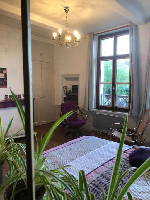 L'Omerade: Appartement De Charme Dans Une Maison Audomaroise Saint-Omer  Exterior foto