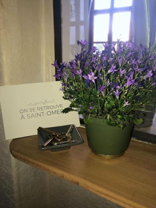 L'Omerade: Appartement De Charme Dans Une Maison Audomaroise Saint-Omer  Exterior foto