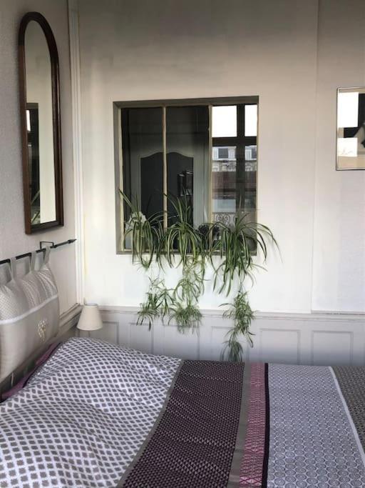 L'Omerade: Appartement De Charme Dans Une Maison Audomaroise Saint-Omer  Exterior foto